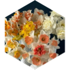 March 4,000 Daily icon