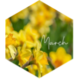 March Distance (8 mile limit) icon