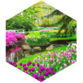 Spring 3km GPS Race icon