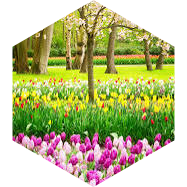 Spring Marathon GPS Race icon