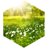 March 8,000 Daily icon