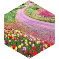 March 15,000 Daily icon