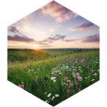 Spring 1 Mile GPS Race icon