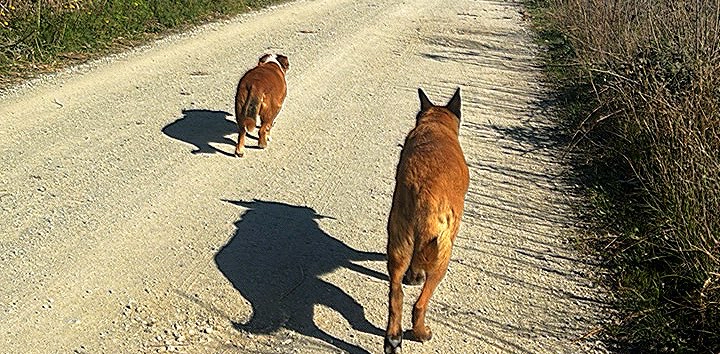 challenge background