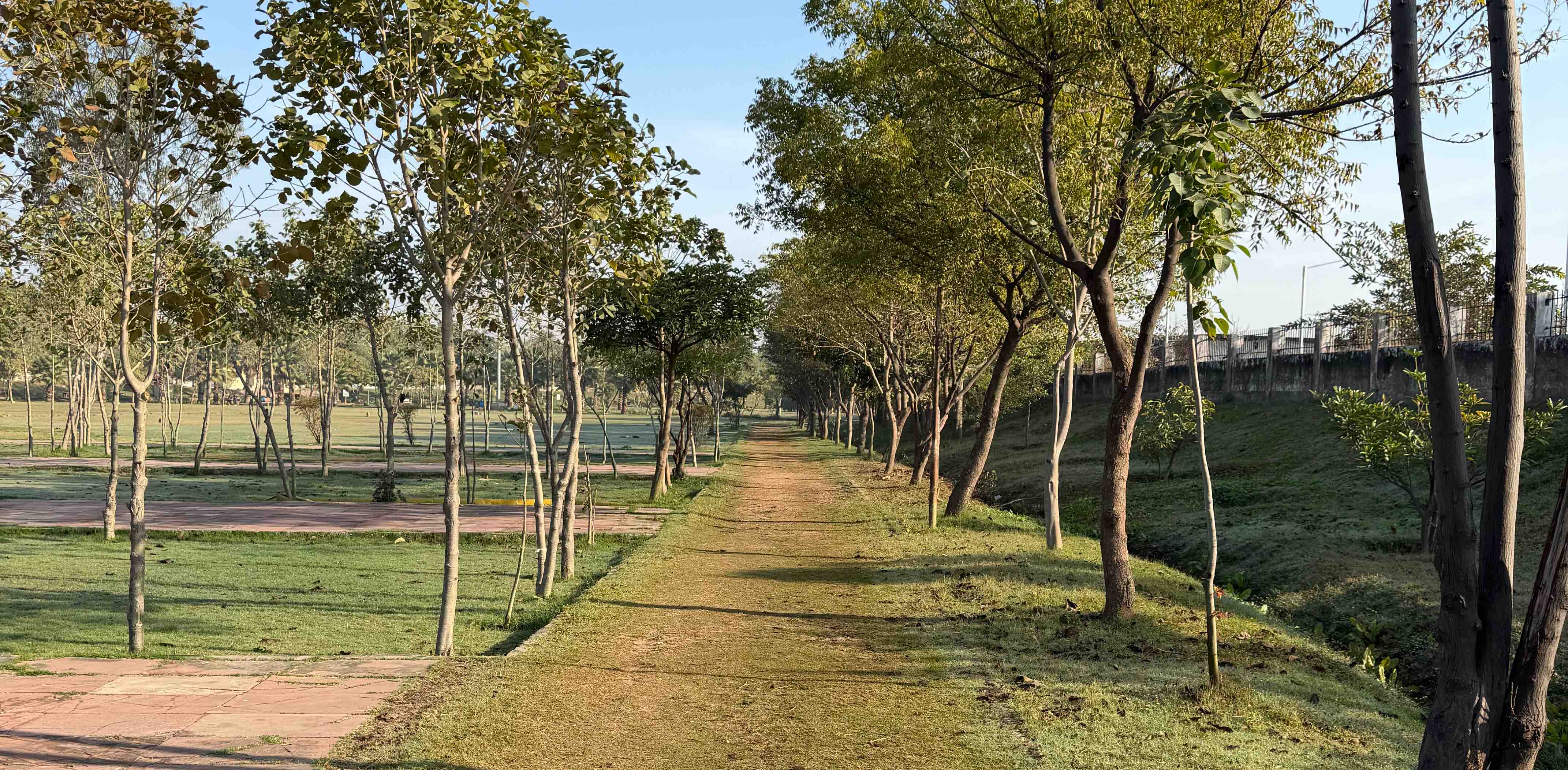 challenge background