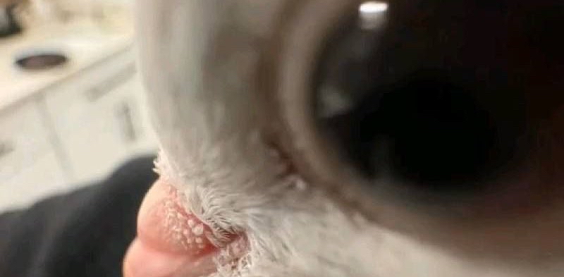 challenge background