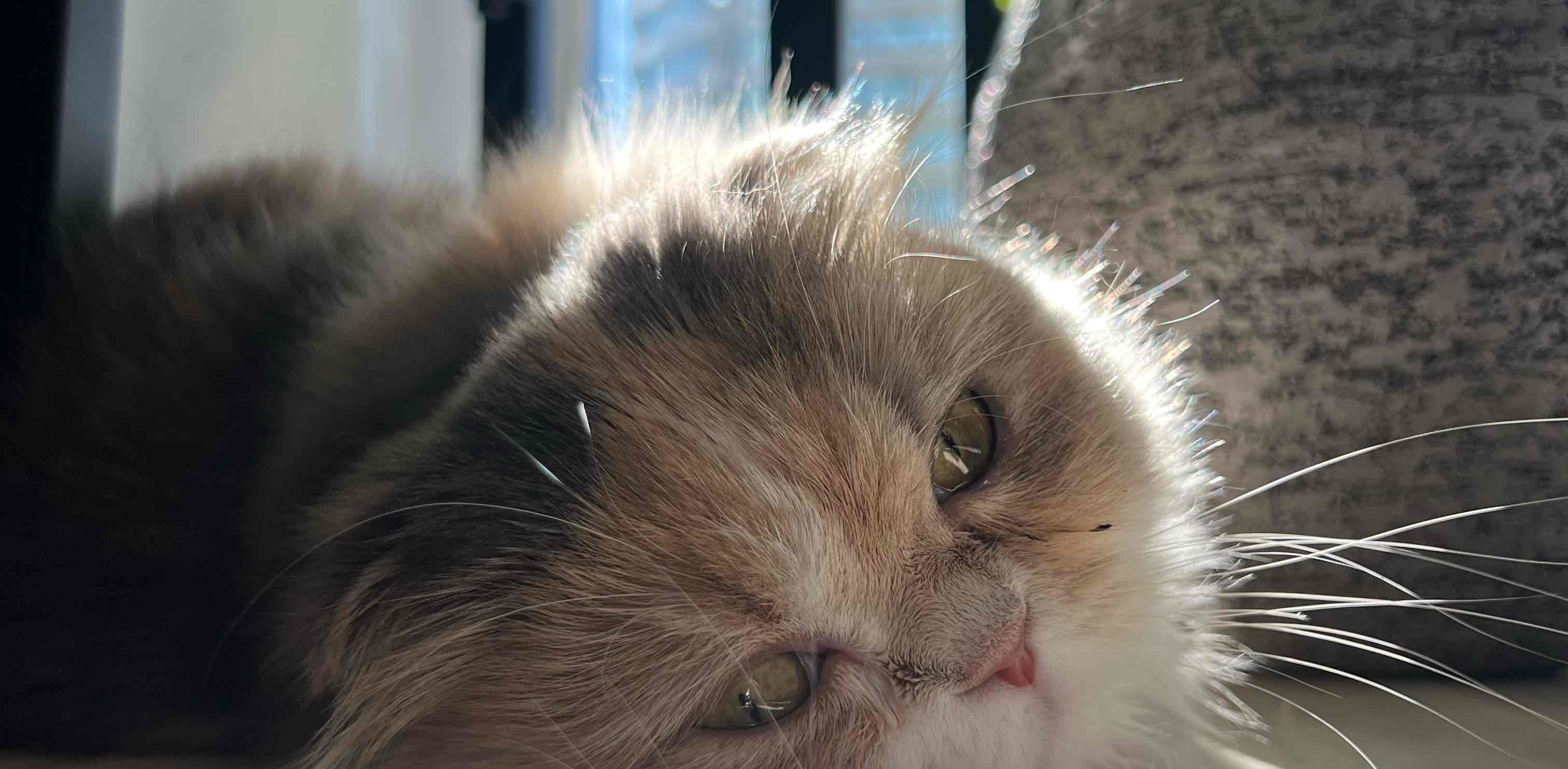 challenge background