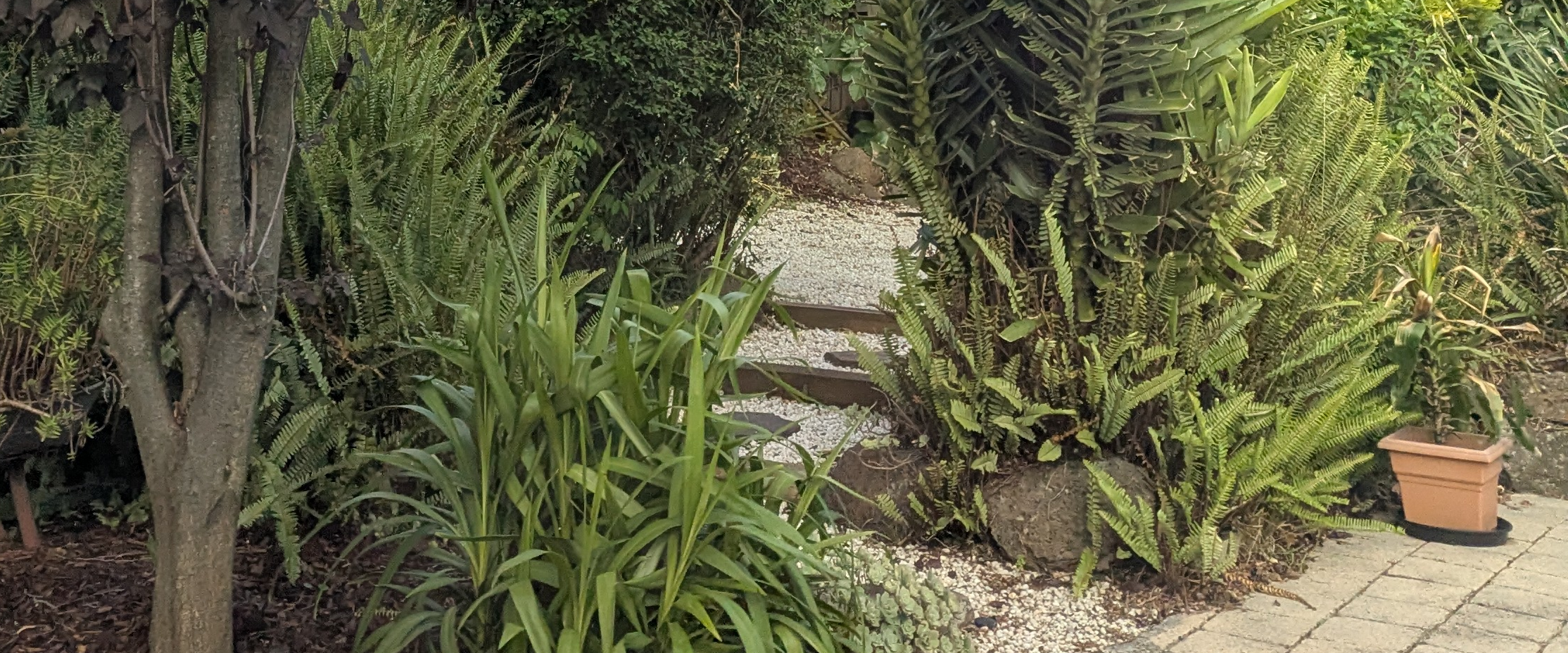 challenge background