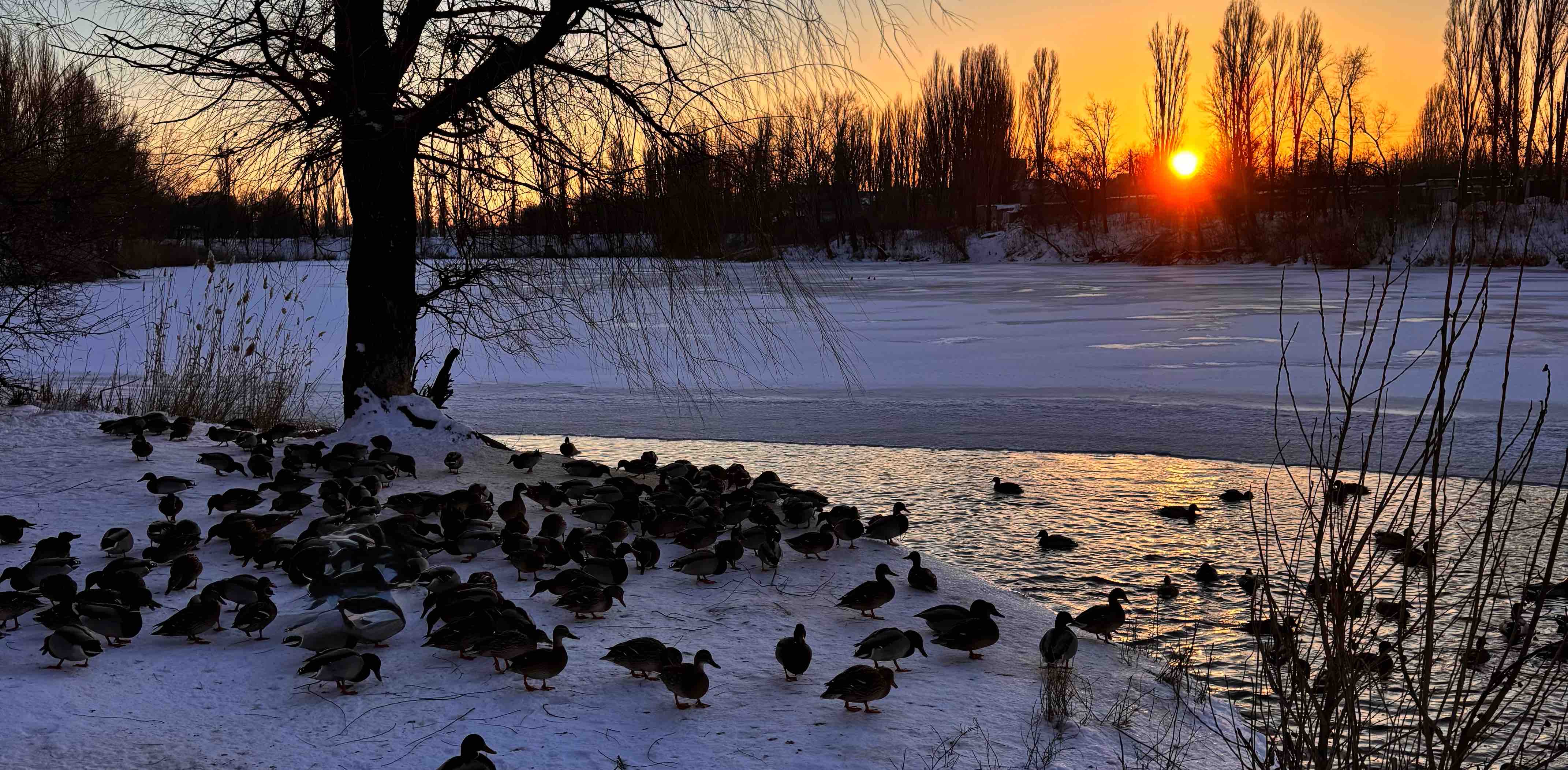 challenge background