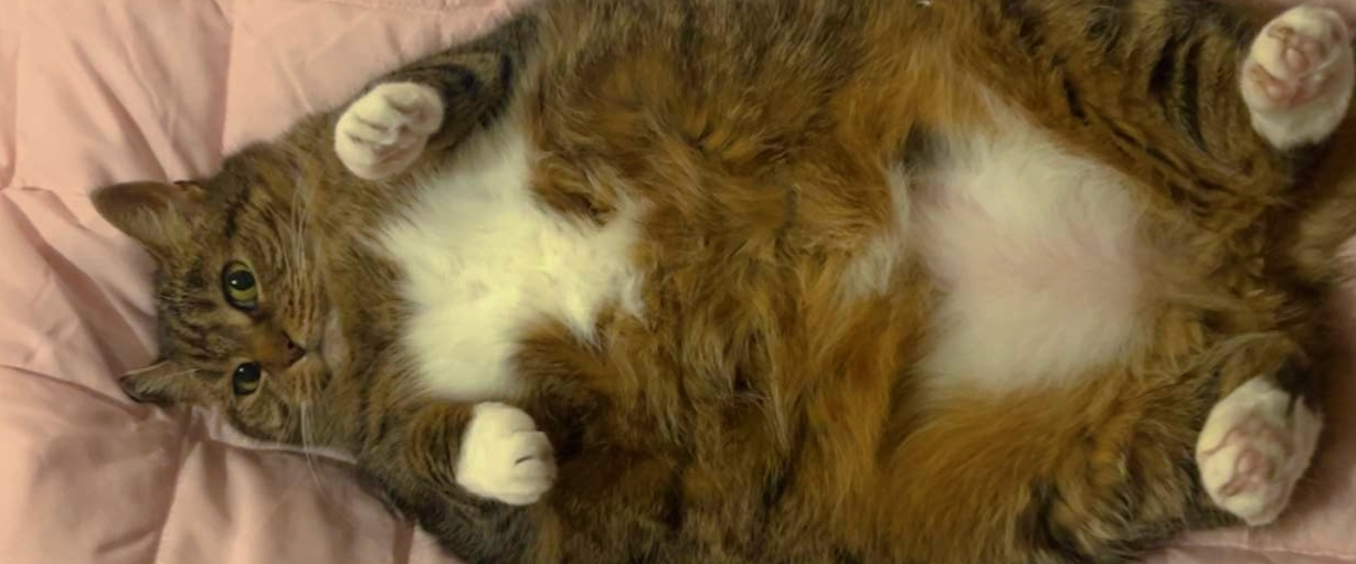 challenge background