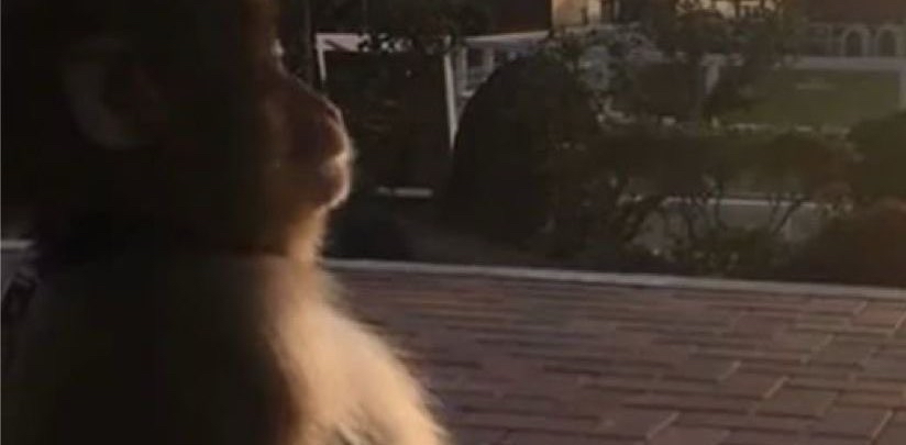 challenge background