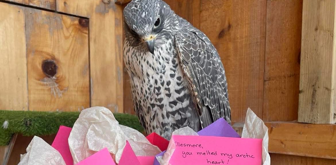 challenge background