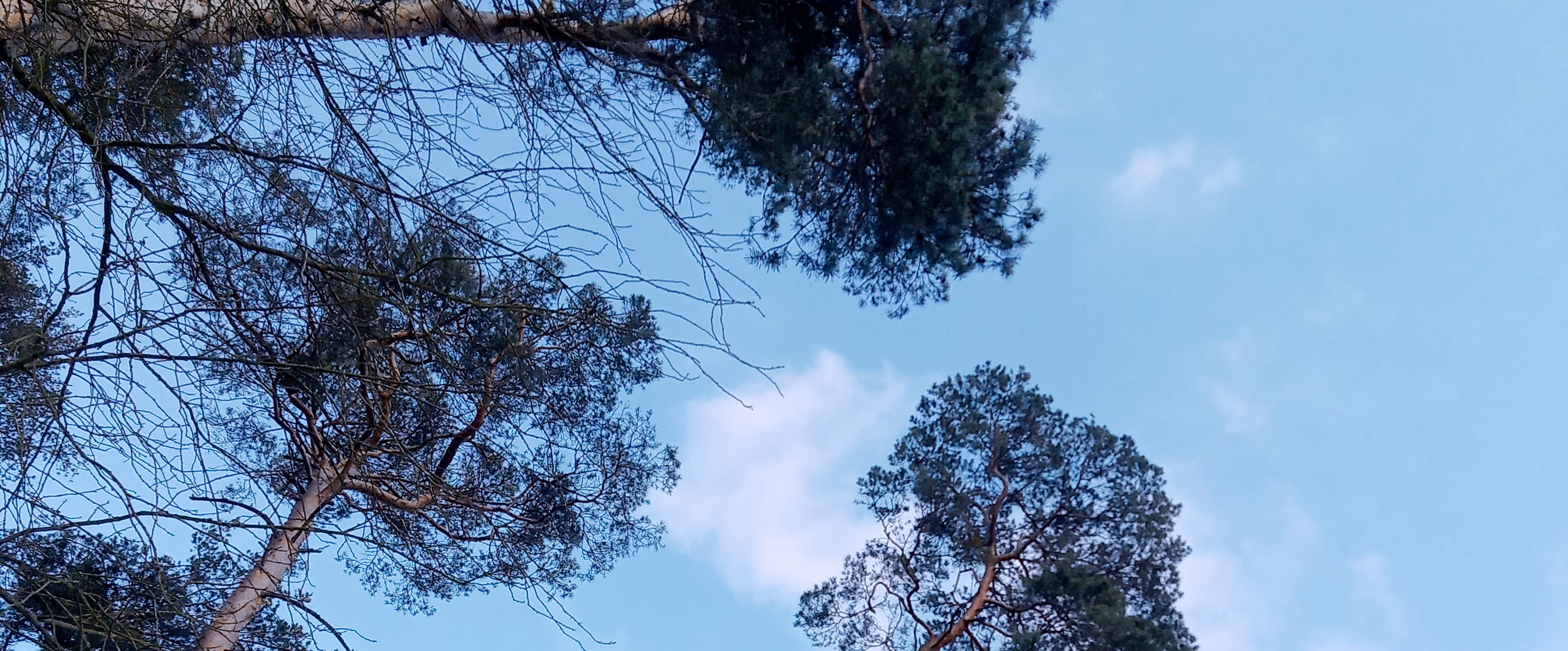 challenge background