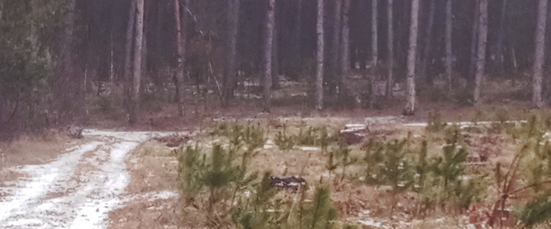 challenge background