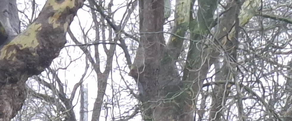 challenge background