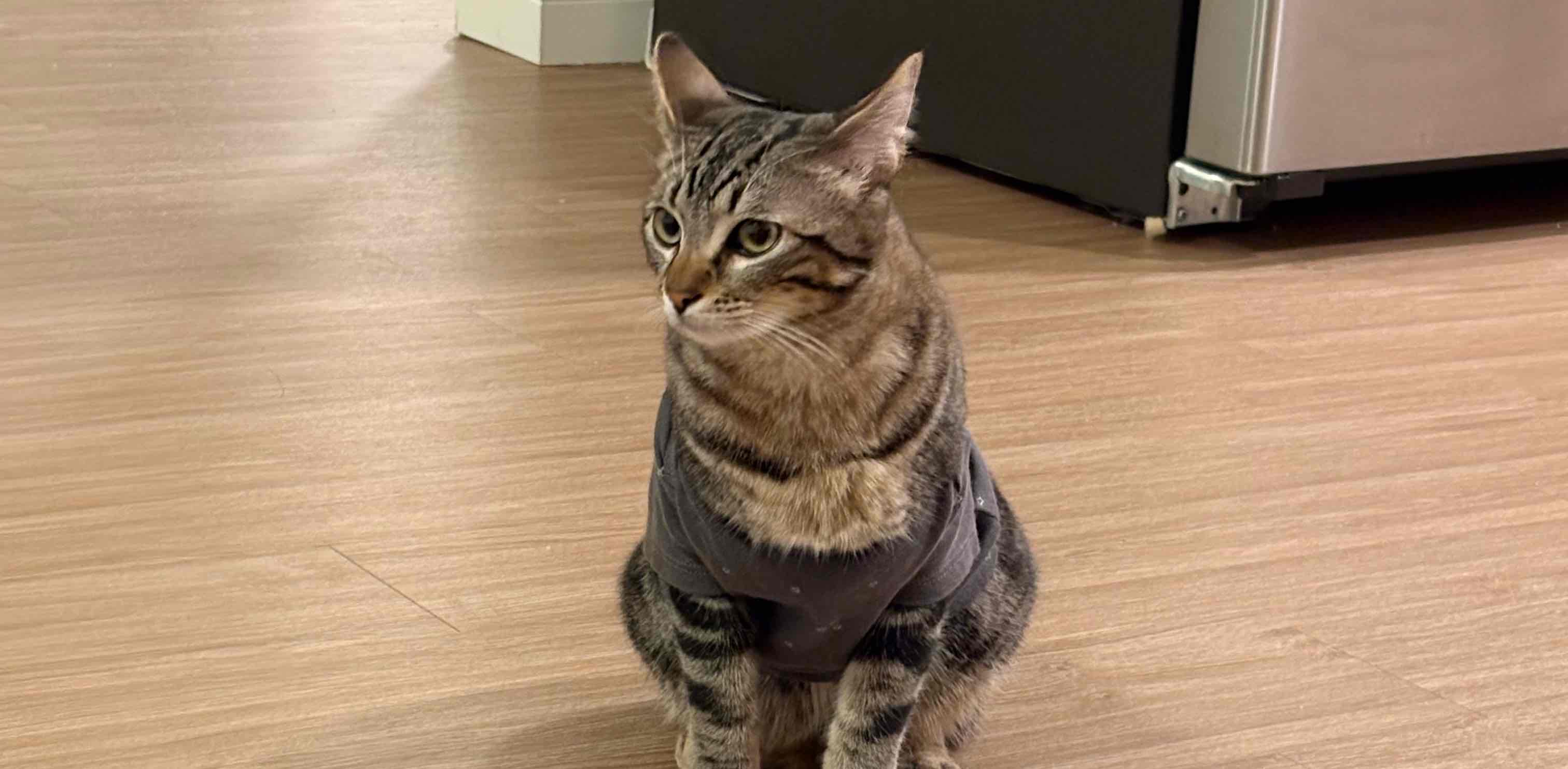 challenge background