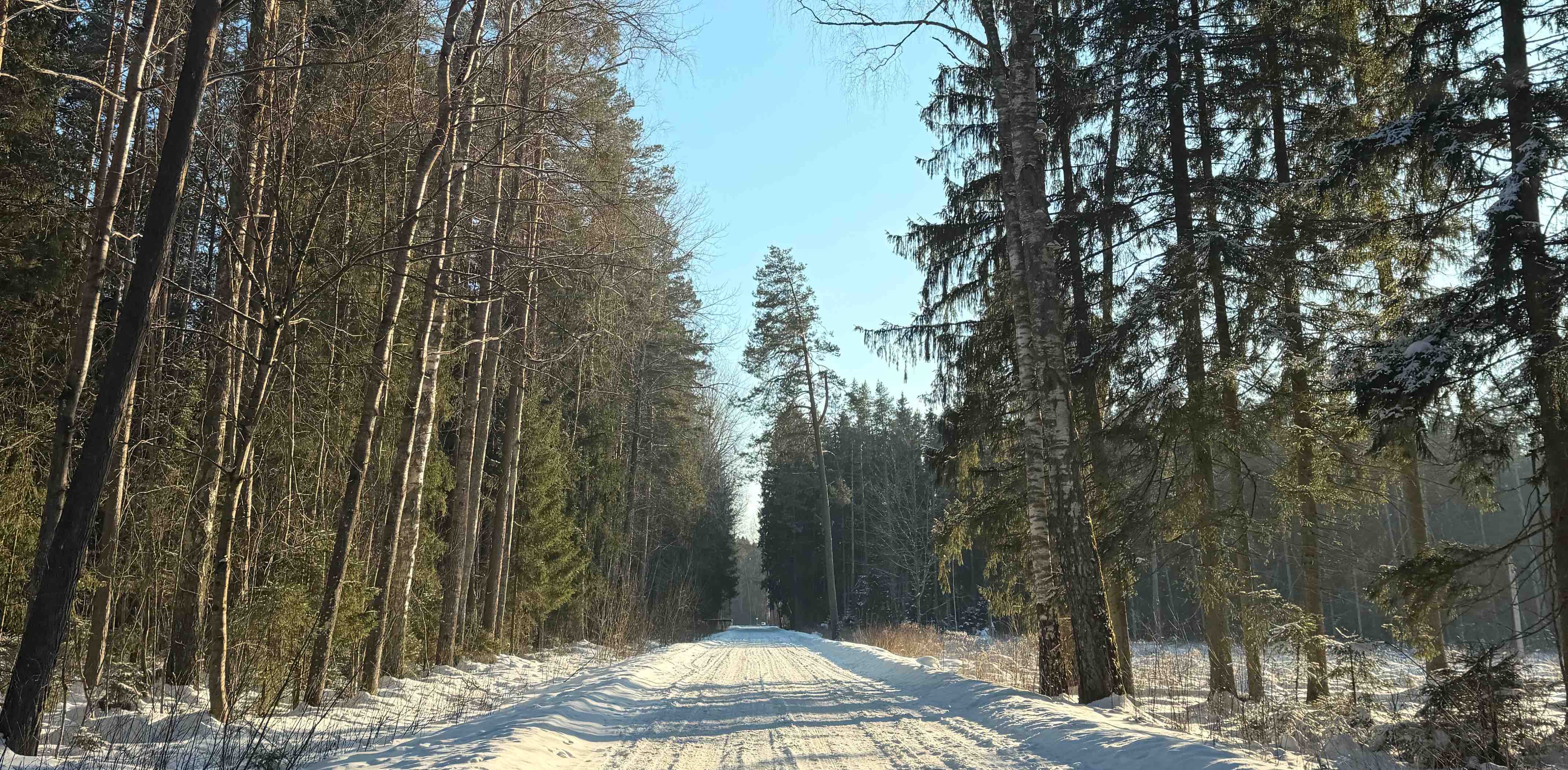 challenge background