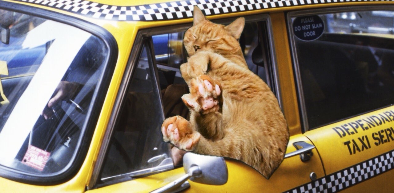 challenge background