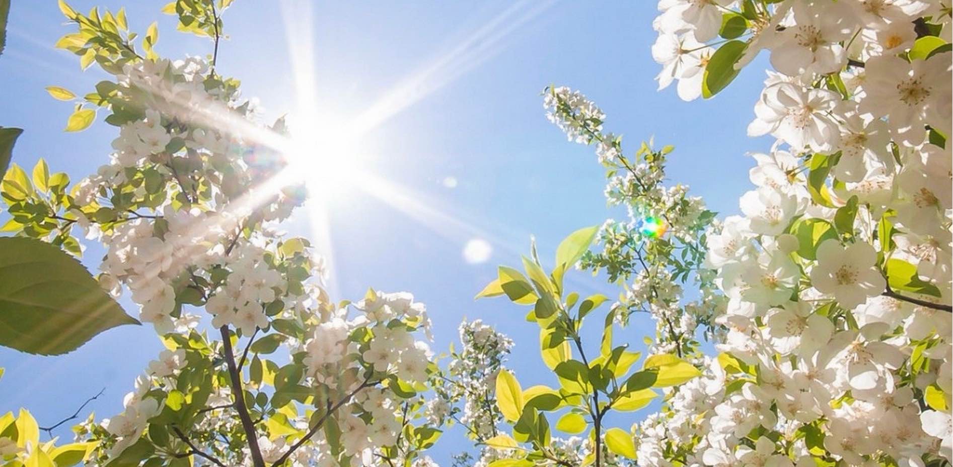 challenge background