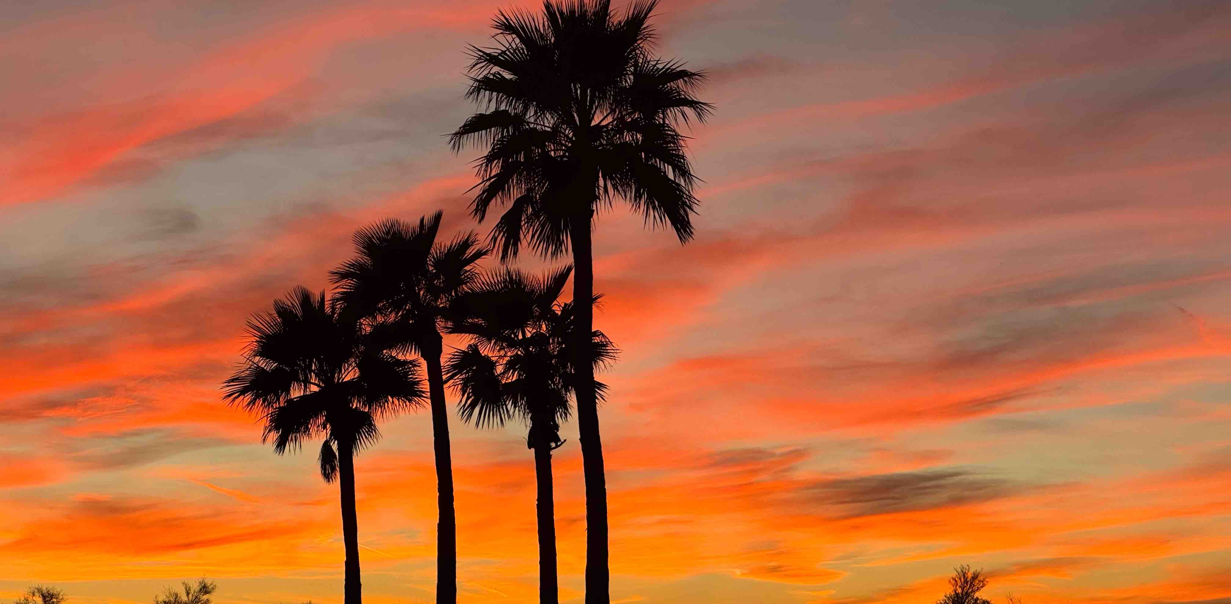 challenge background