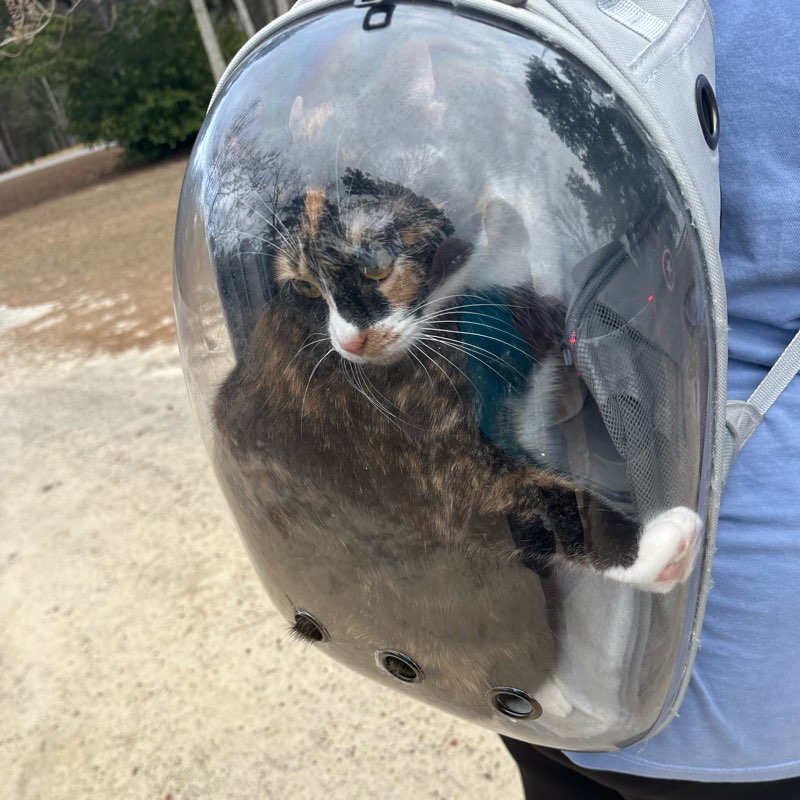 Family Fun & Fitness logo