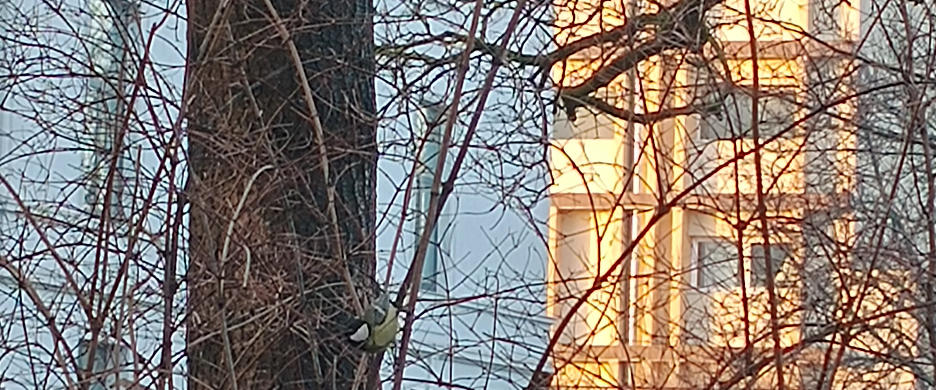 challenge background