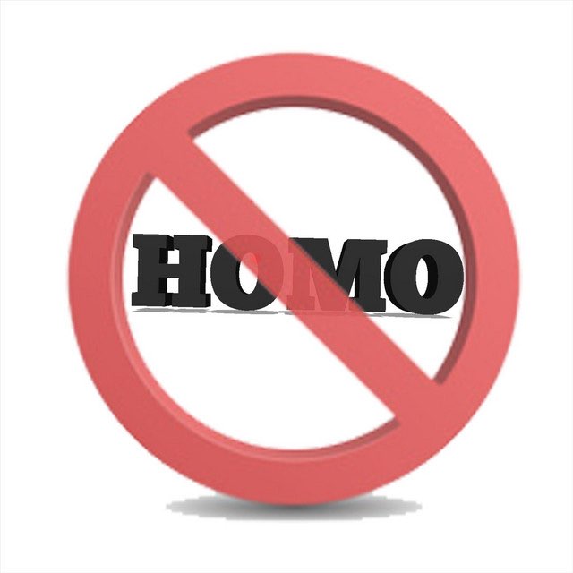 NO HOMO logo