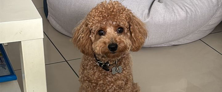 challenge background