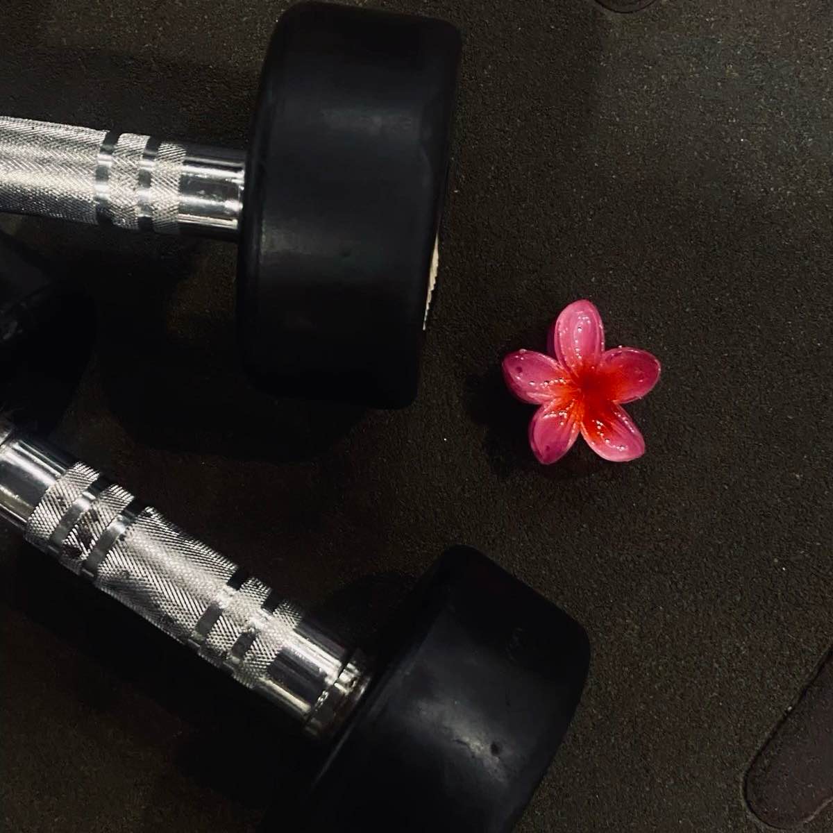 SpeedQueens🏃🏻‍♀️ logo