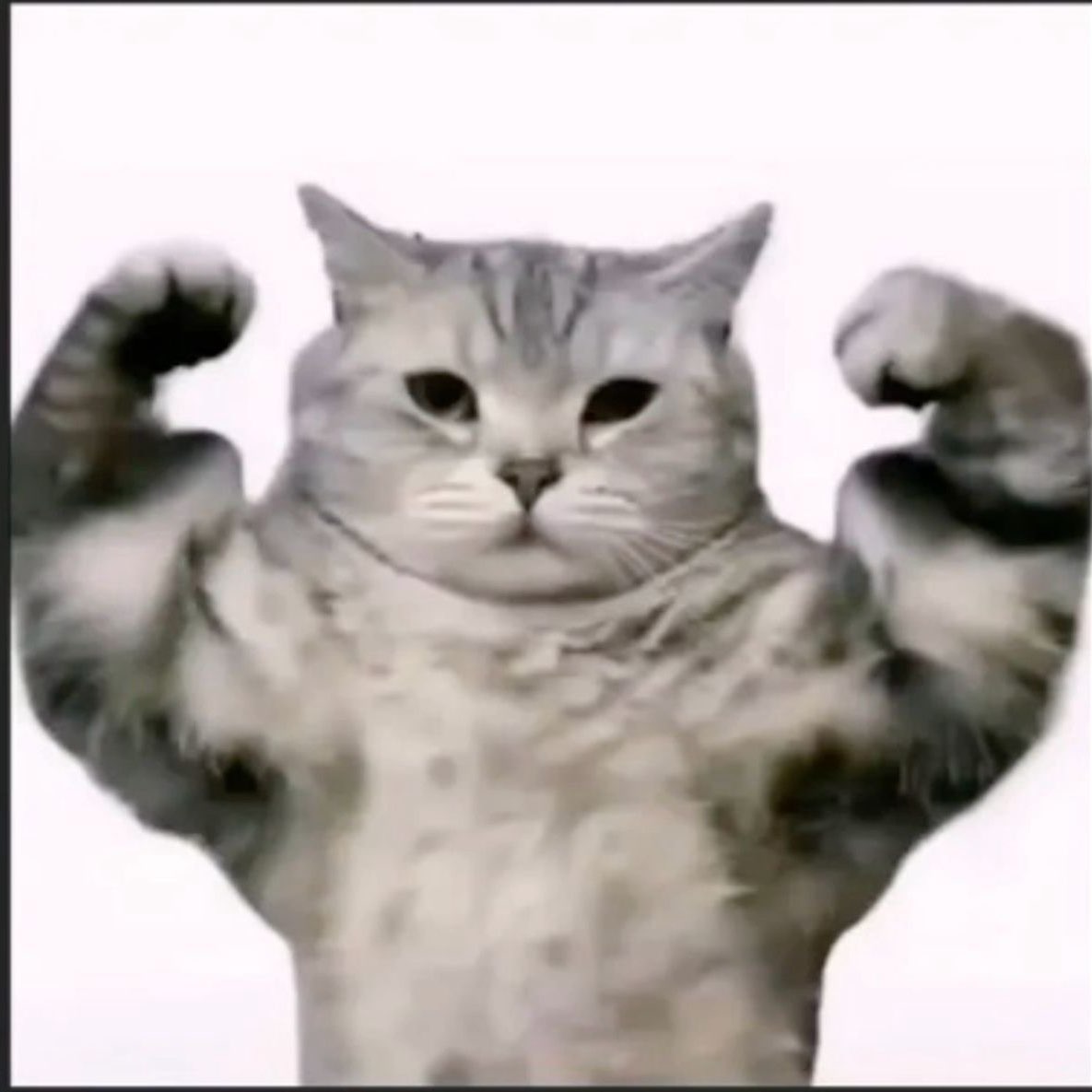 تحدي بيت ماما جوجو logo