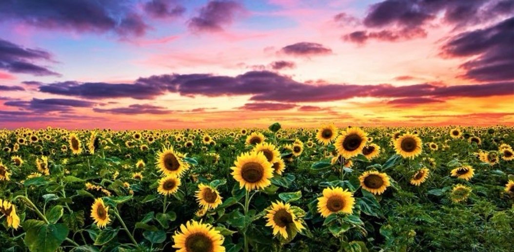 challenge background