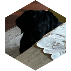 challenge badge