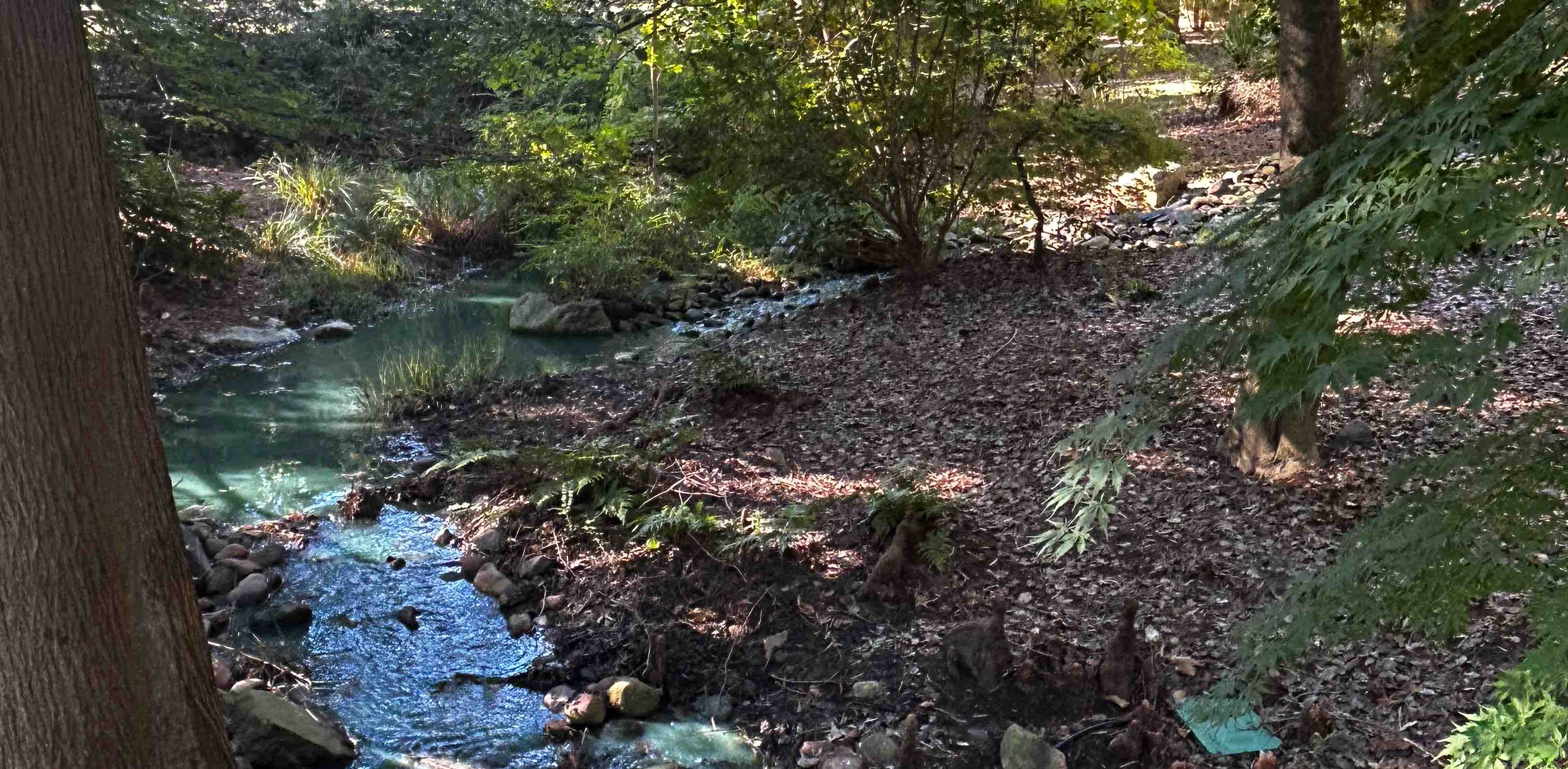 challenge background