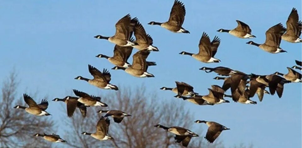 challenge background