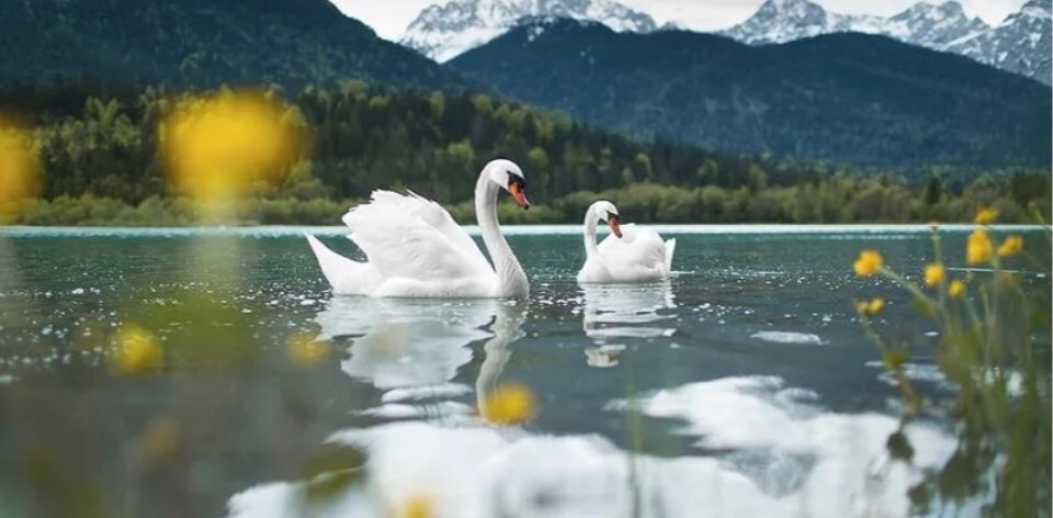 challenge background