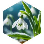 challenge badge