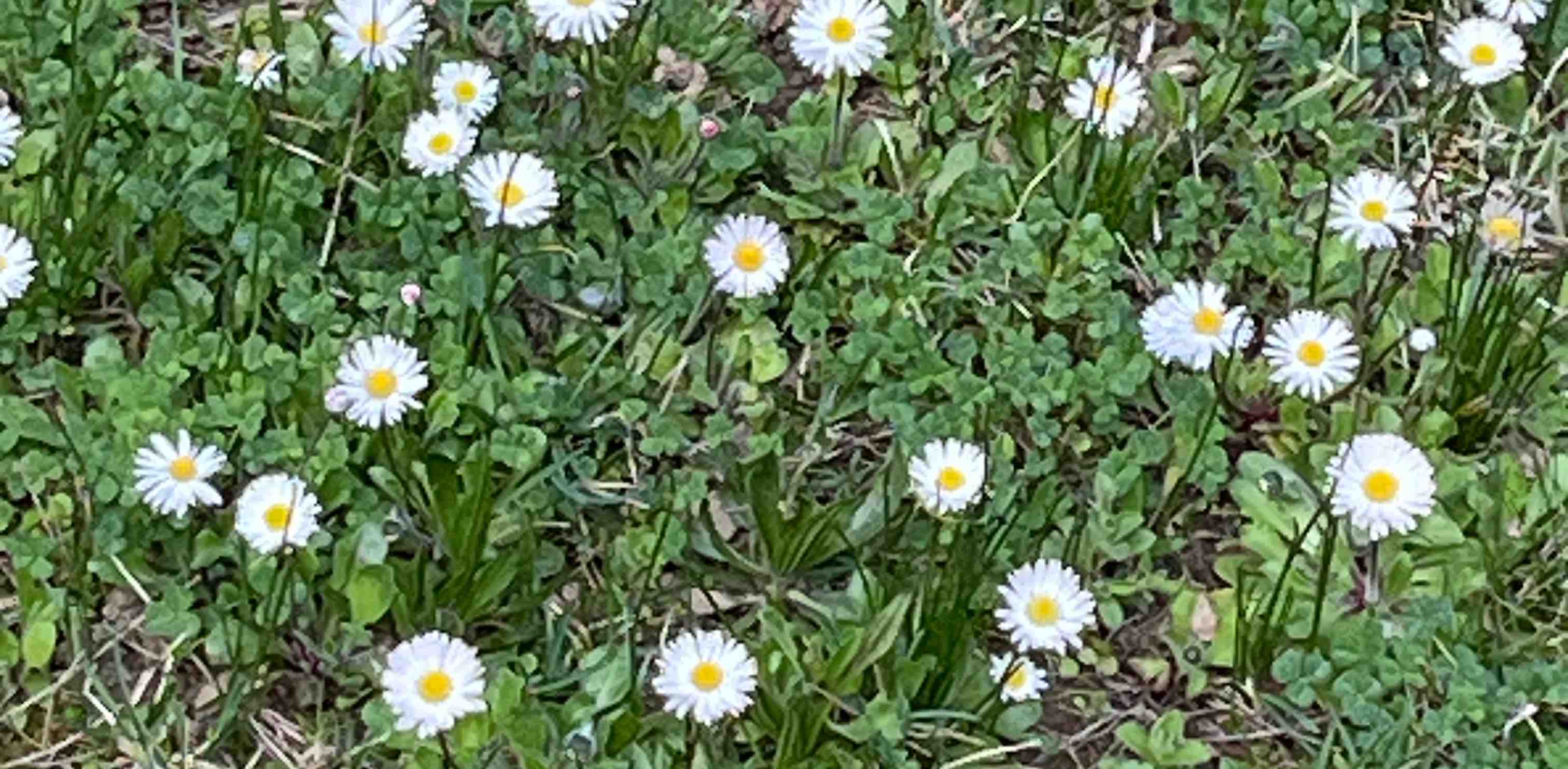 challenge background