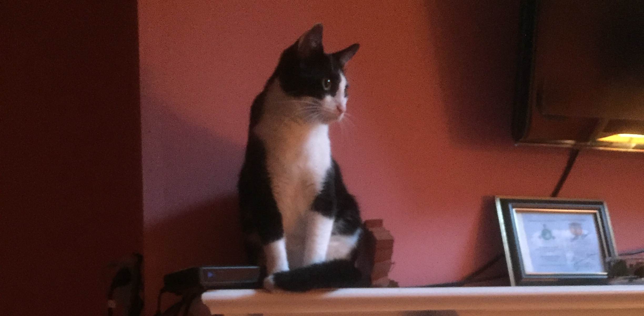 challenge background