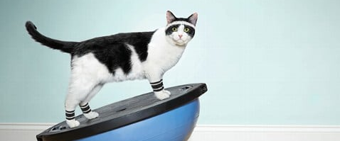 challenge background