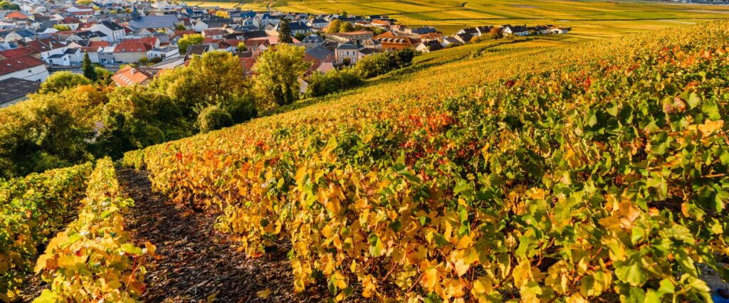 challenge background