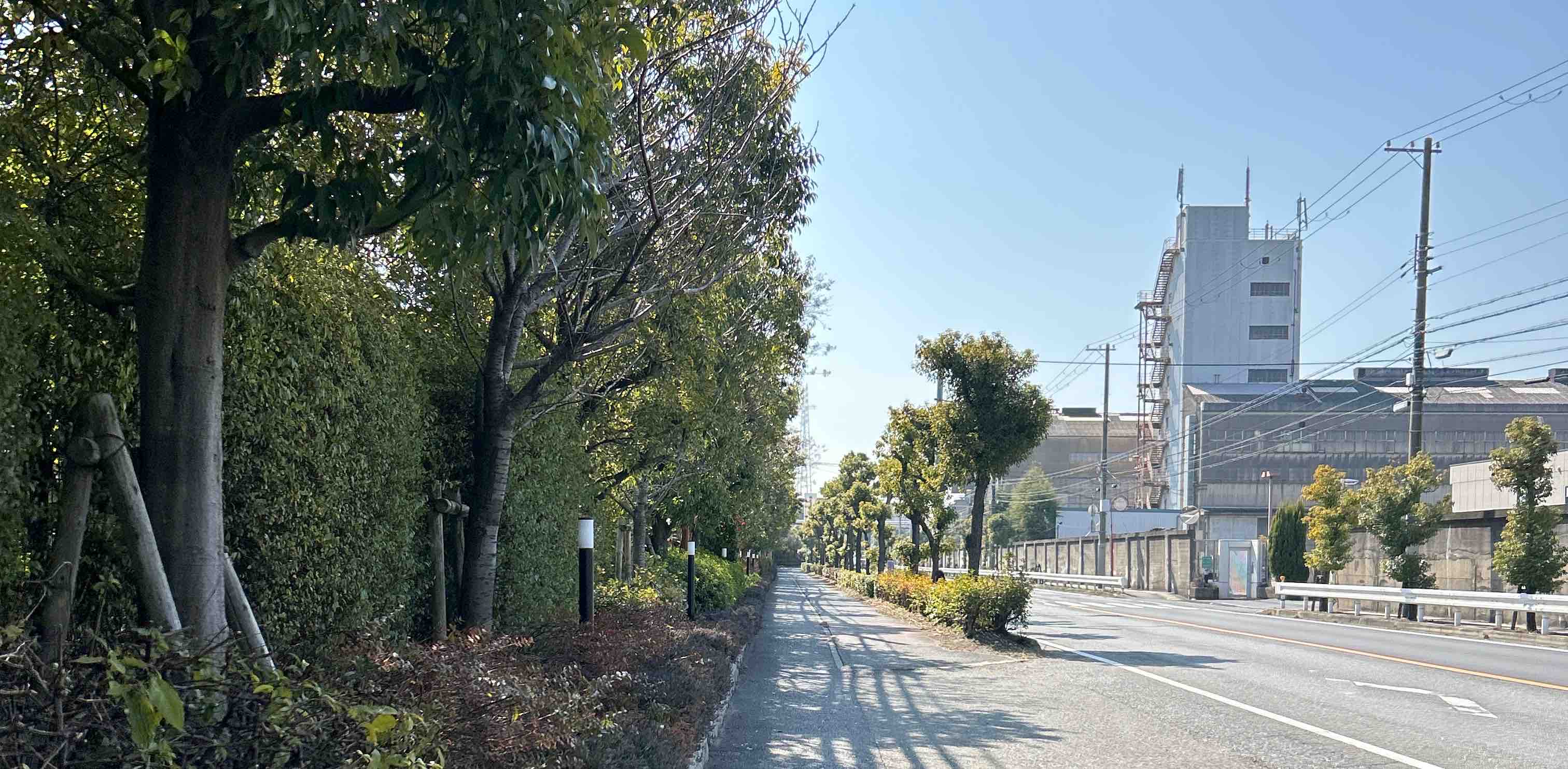 challenge background