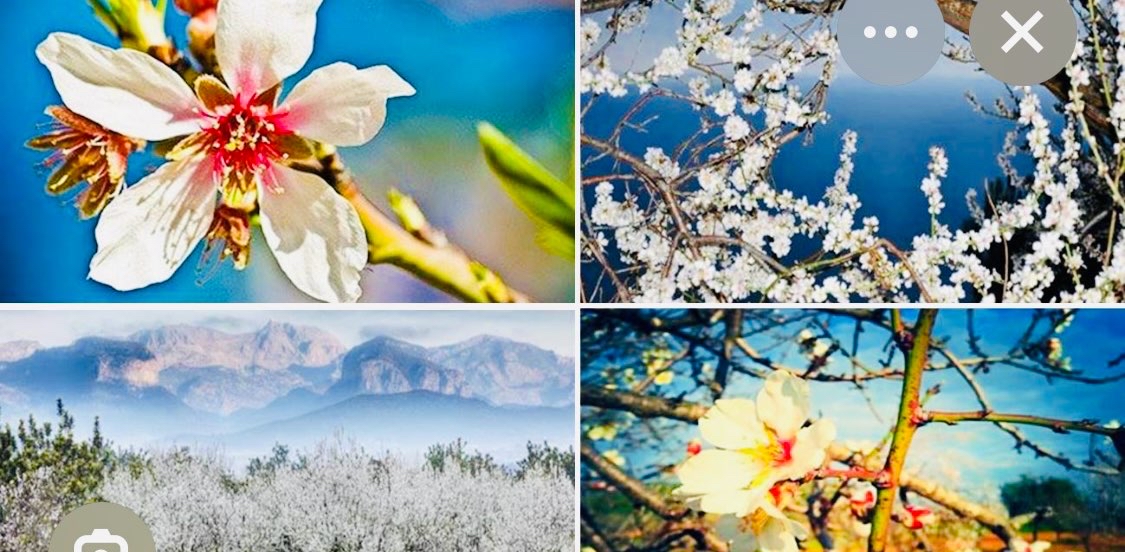 challenge background