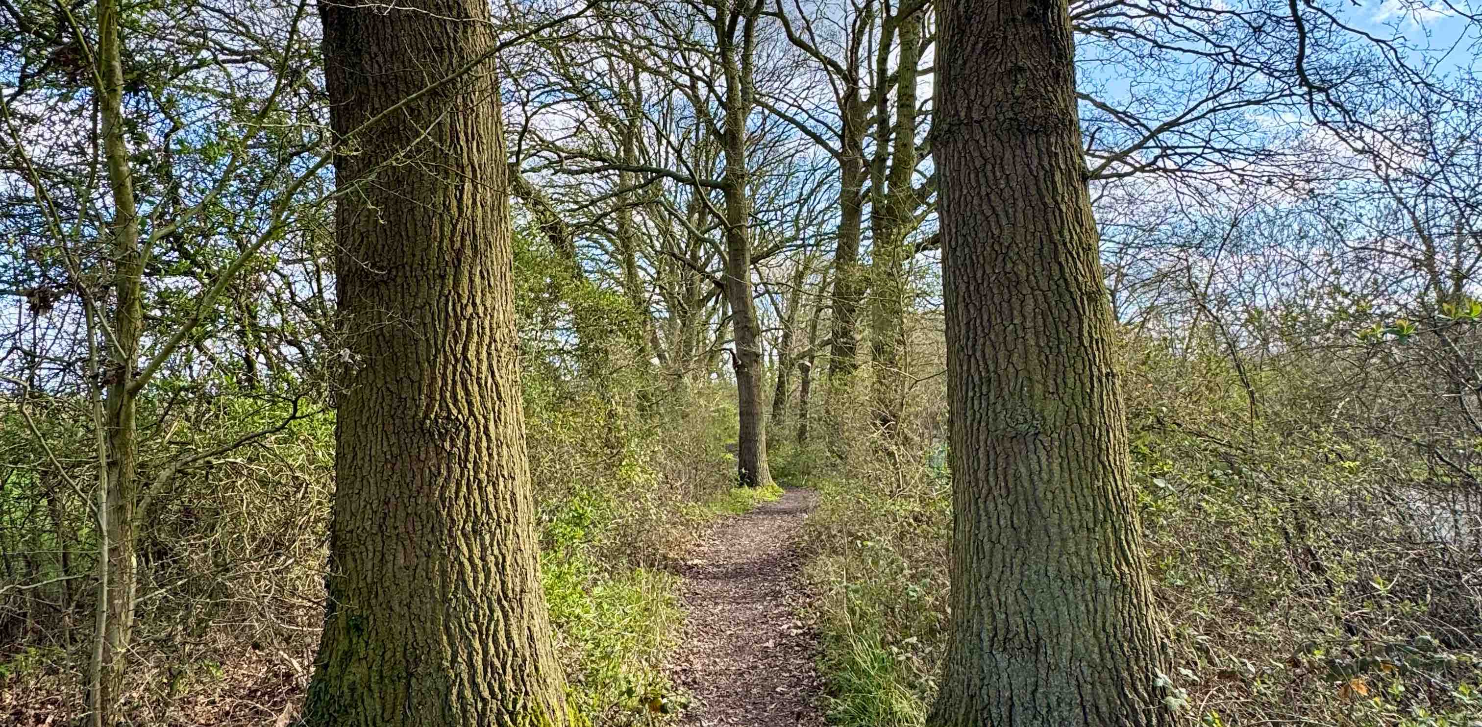 challenge background