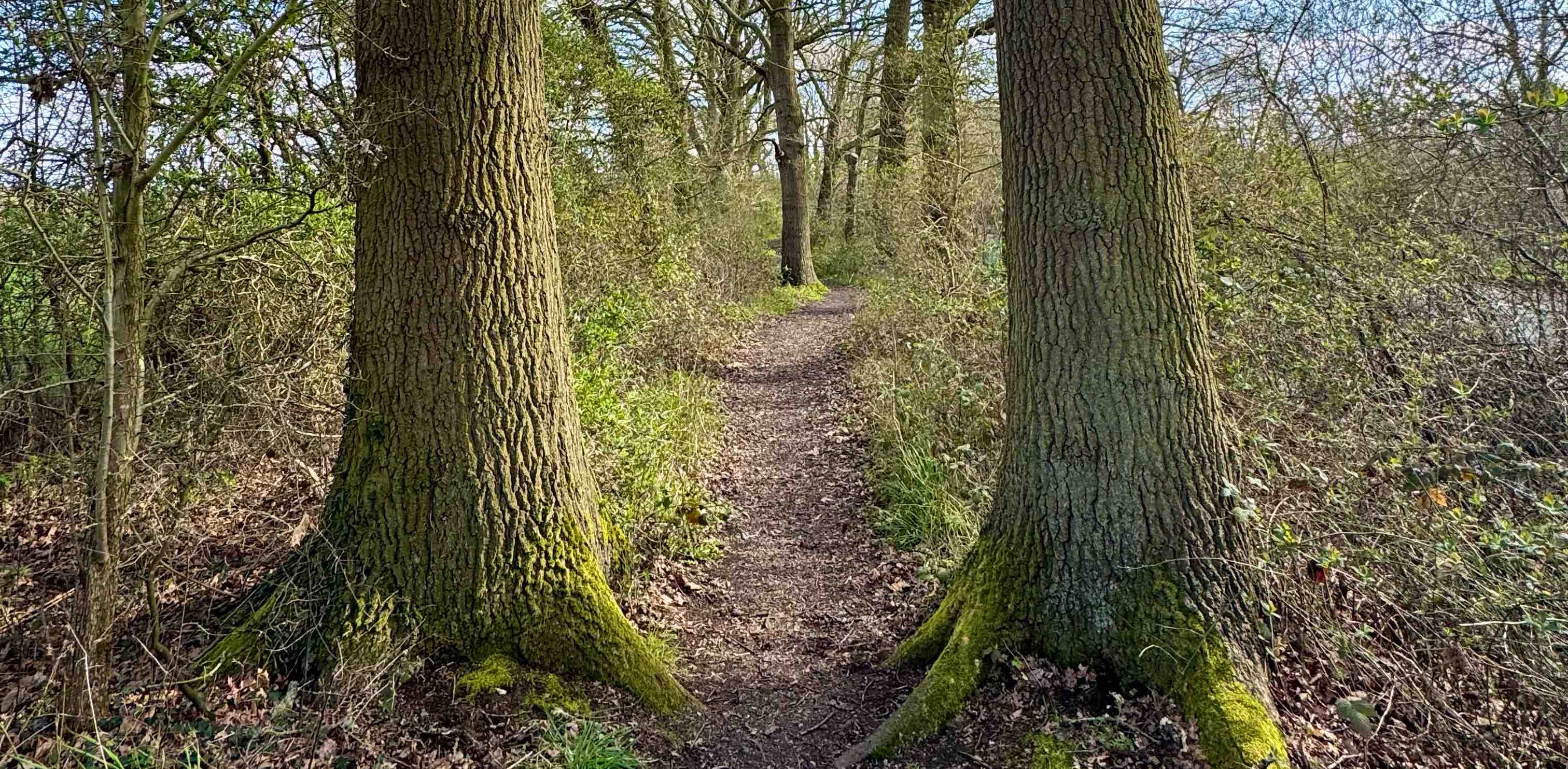 challenge background