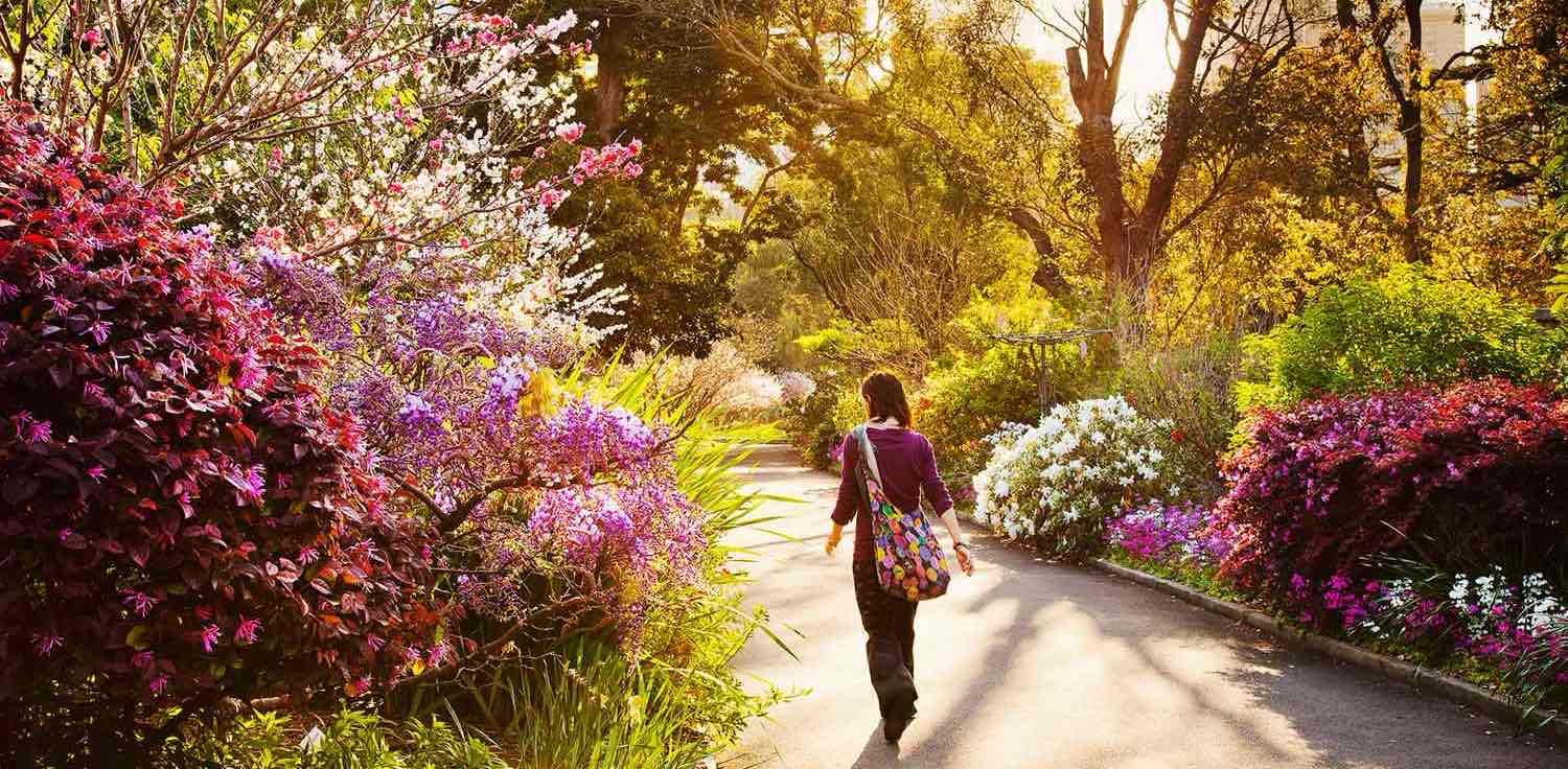 challenge background