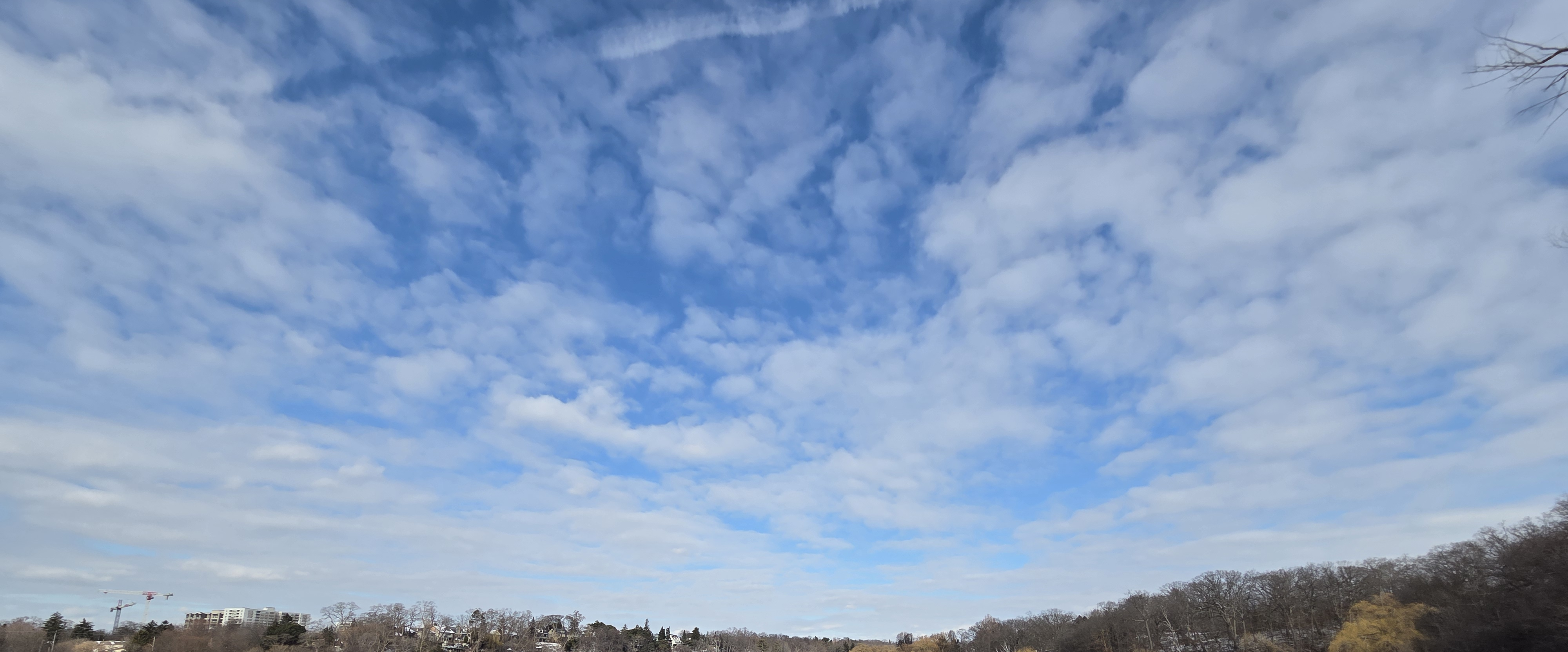 challenge background