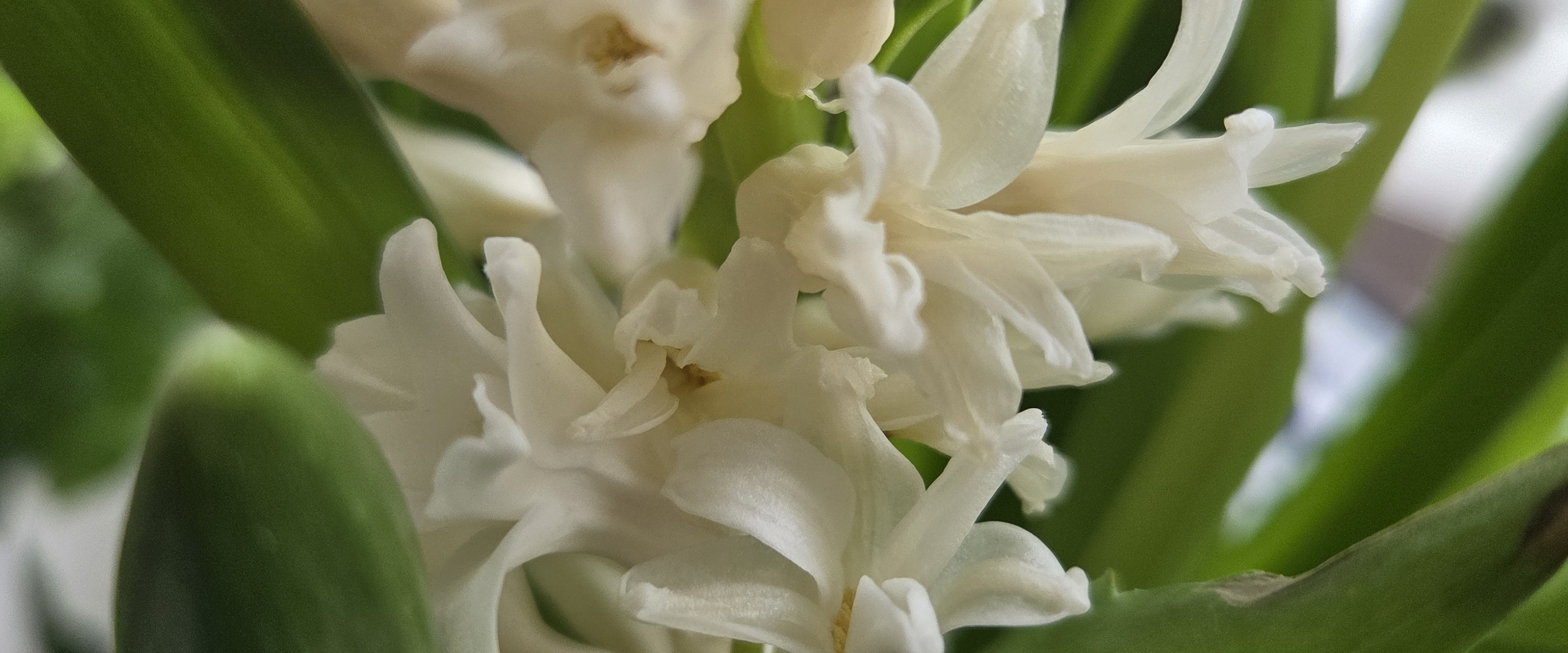 challenge background