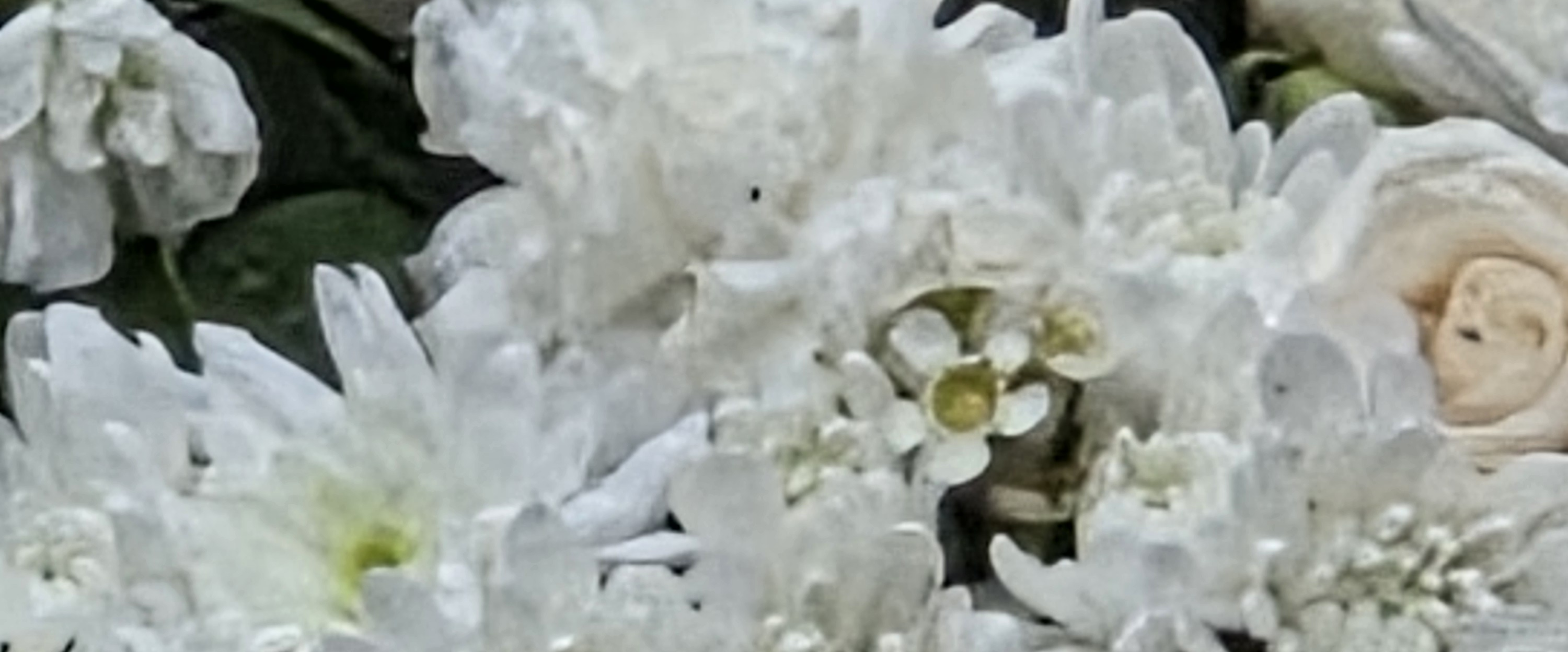 challenge background