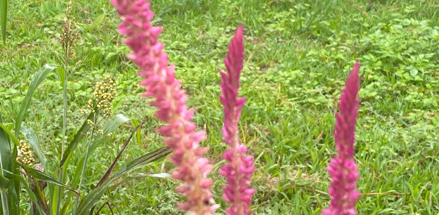 challenge background