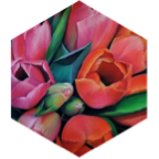 challenge badge